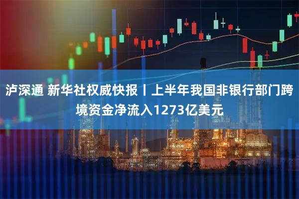 泸深通 新华社权威快报丨上半年我国非银行部门跨境资金净流入1273亿美元