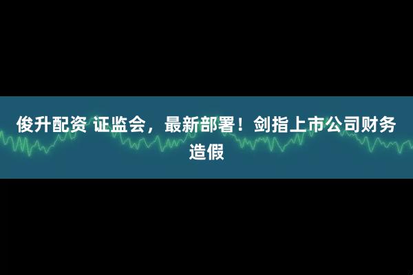 俊升配资 证监会，最新部署！剑指上市公司财务造假